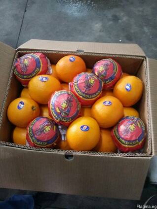 Апельсин, лук, баклажаны, морковь, огурцы, помидоры, перец цветной