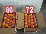Апельсин, лук, баклажаны, морковь, огурцы, помидоры, перец цветной - фото 1