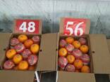 Апельсин, лук, баклажаны, морковь, огурцы, помидоры, перец цветной - фото 4