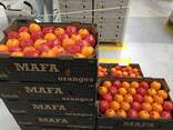 Апельсины Египет - фото 1