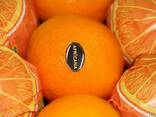 Апельсины Египетские - фото 1