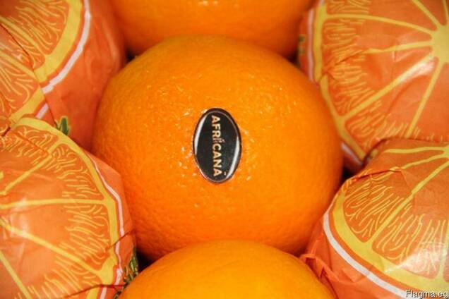 Апельсины Египетские