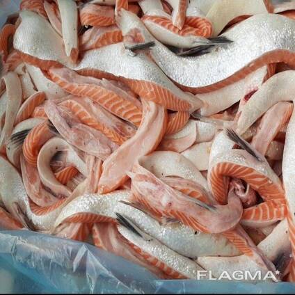 Atlantic Salmon Bellies