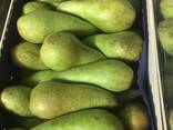 Best pears from Poland wholesale - photo 8
