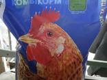 Compound Feed for Broiler - Best Mix