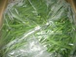 Фасоль зеленая замороженная из Египта