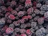 Frozen berries, fruits, berry-fruit and compote mixes. - фото 1