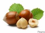 Фундук Hazelnuts - фото 1