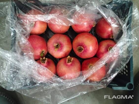 Гранат сорт R116