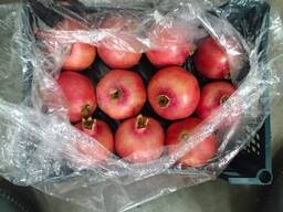 Гранат сорт R116