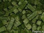 Greenfield Incorporation sells Alfalfa - photo 1