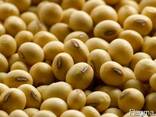 Greenfield Incorporation sells Soybean - photo 1