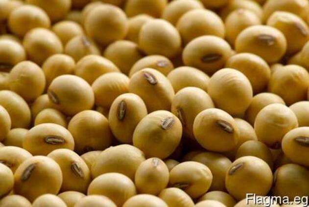 Greenfield Incorporation sells Soybean