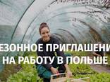 Приглашение на сезонные работы ZASWIADCZENIE Сезонное приглашение в Польшу засвядчение ! - фото 1