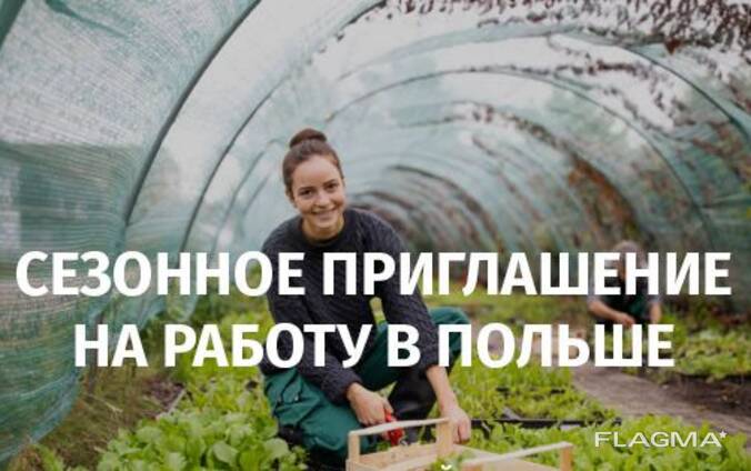 Приглашение на сезонные работы ZASWIADCZENIE Сезонное приглашение в Польшу засвядчение !
