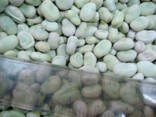 IQF EGYPTIAN GREEN BROAD BEANS