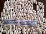 Kidney White beans offer - фото 1