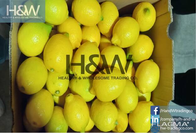 Lemon