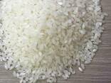 Medium grain elite rice, Camolino - фото 1