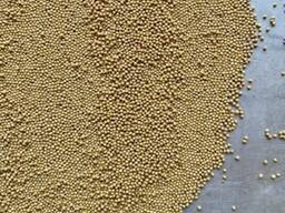 Mustard seeds Sinapus Alba for industrial processing