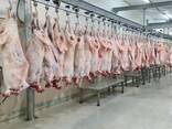 Mutton / Lamb meat - photo 1