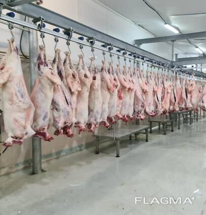 Mutton / Lamb meat