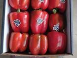 Перец сладкий из Египта - фото 1