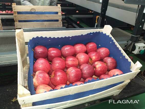 Polish apples, La-Sad