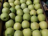 Polish apples (wide range of varieties) - photo 8