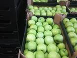 Polish apples (wide range of varieties) - photo 11