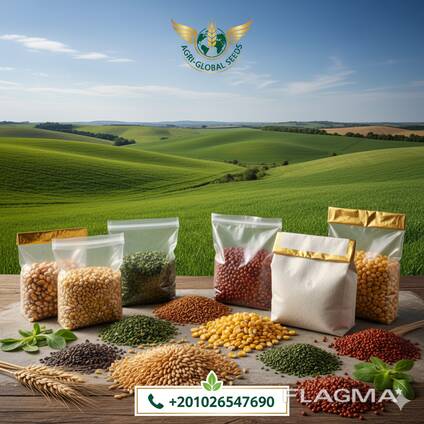 Premium Foodstuff Exports from Dubai