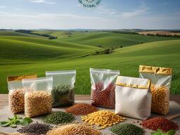 Premium Foodstuff Exports from Dubai