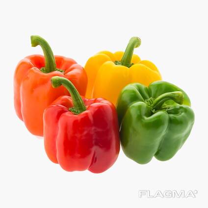 Продам цветной болгарский перец