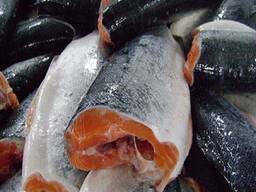 Salmon Fish (Seafood)