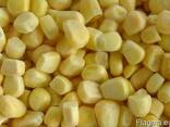 Сладкая кукуруза замороженная из Египта - фото 1