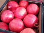 Supplying Egyptian pomegranate - photo 2
