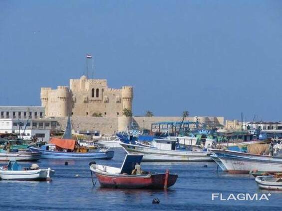 Услуга профессионального египтолога, тур-гида по Александрии