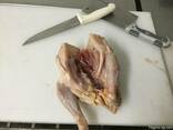 We offer the frozen chicken carcasses on an export. - photo 3