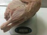 We sell packaged, frozen chicken carcass for export. - фото 2