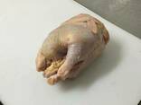 We sell packaged, frozen chicken carcass for export. - фото 3