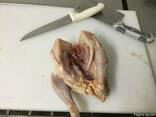 We sell packaged, frozen chicken carcass for export. - photo 5