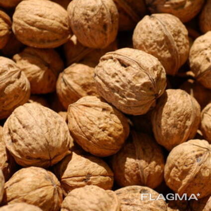 We sell walnuts, pumpkin seeds