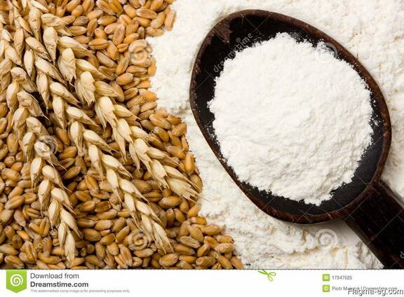 Wheat flour low price