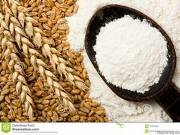 Wheat flour low price