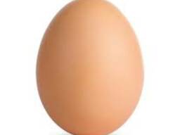 Яйца куриные категории С оптом