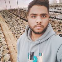 Youness Mohamed Shaaban